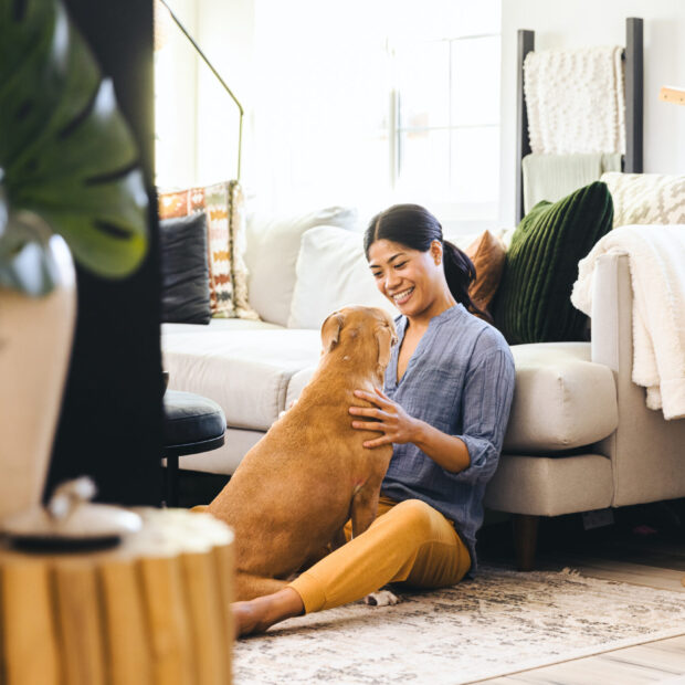Smiling young woman with brown dog sitting by sofa in living room at home